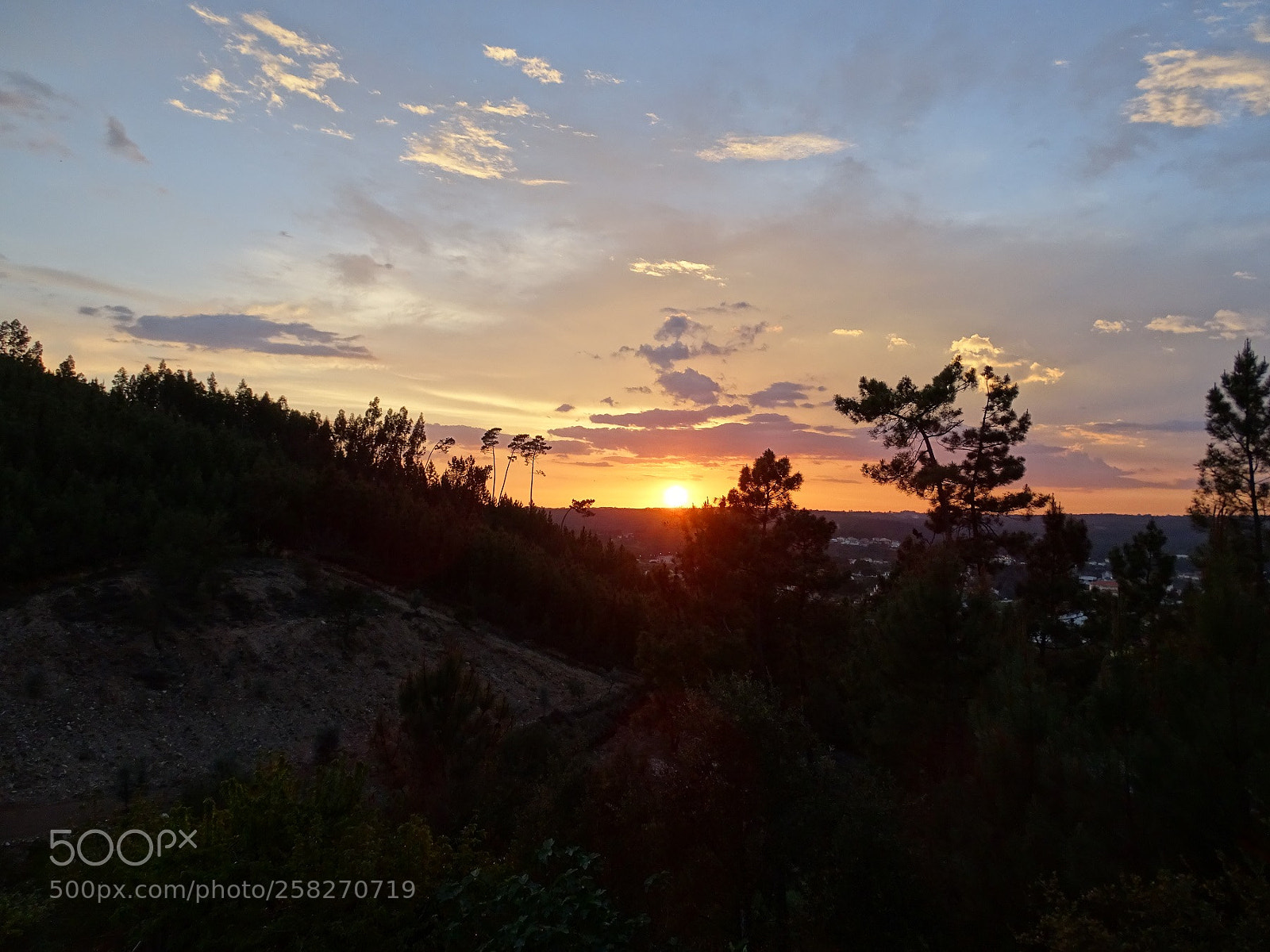 Sony Cyber-shot DSC-HX400V sample photo. Miracles of nature #1 photography