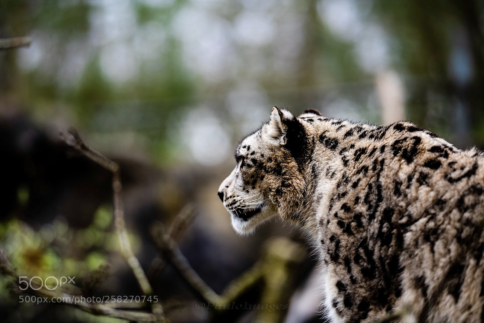 Nikon D810 sample photo. Extremely elegant, beautiful and photography