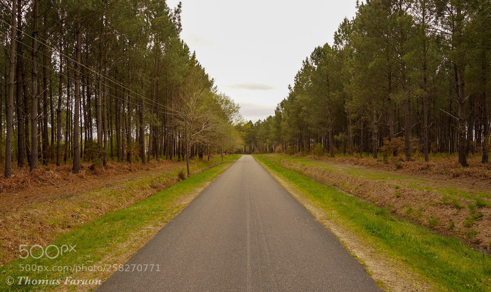 Sony Alpha NEX-6 sample photo. Untitled photography