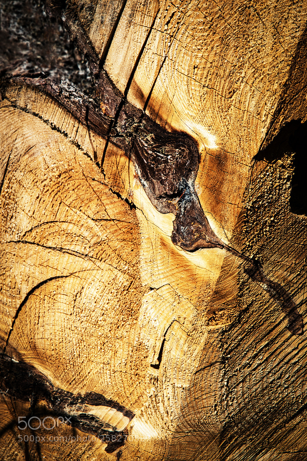 Nikon D5500 sample photo. Abstract detail on a photography