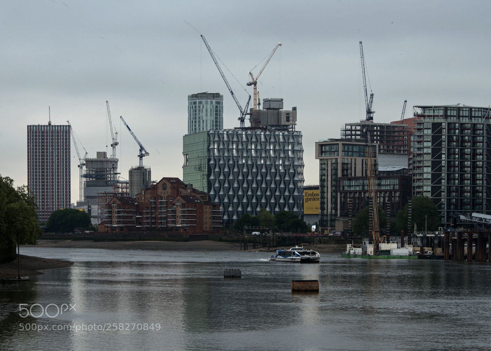 Nikon D810 sample photo. Cranes of the riverbank photography