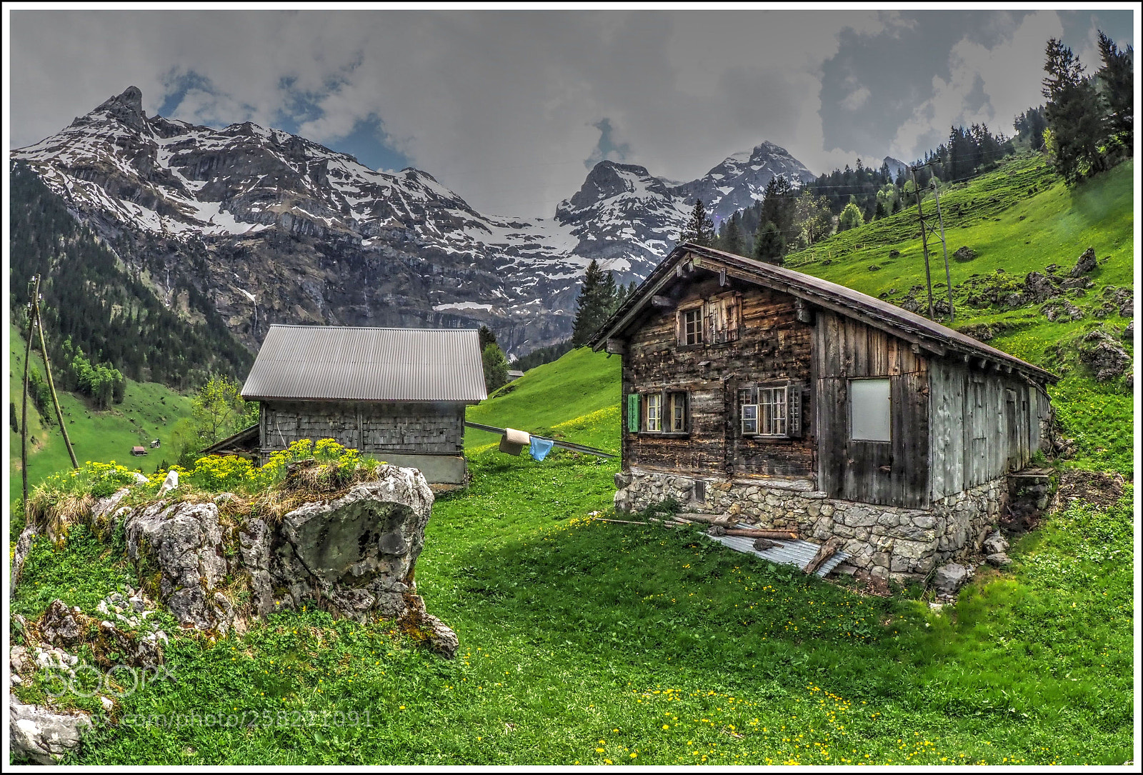 Olympus OM-D E-M1 Mark II sample photo. Auf dem bergli photography