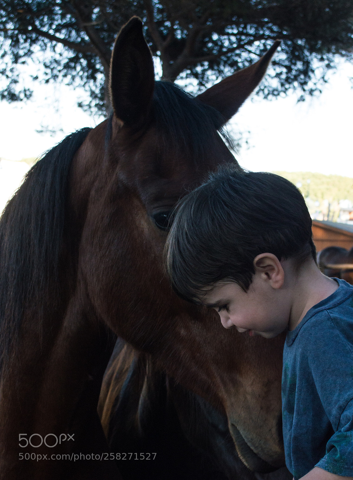 Nikon D3200 sample photo. Tenderness photography