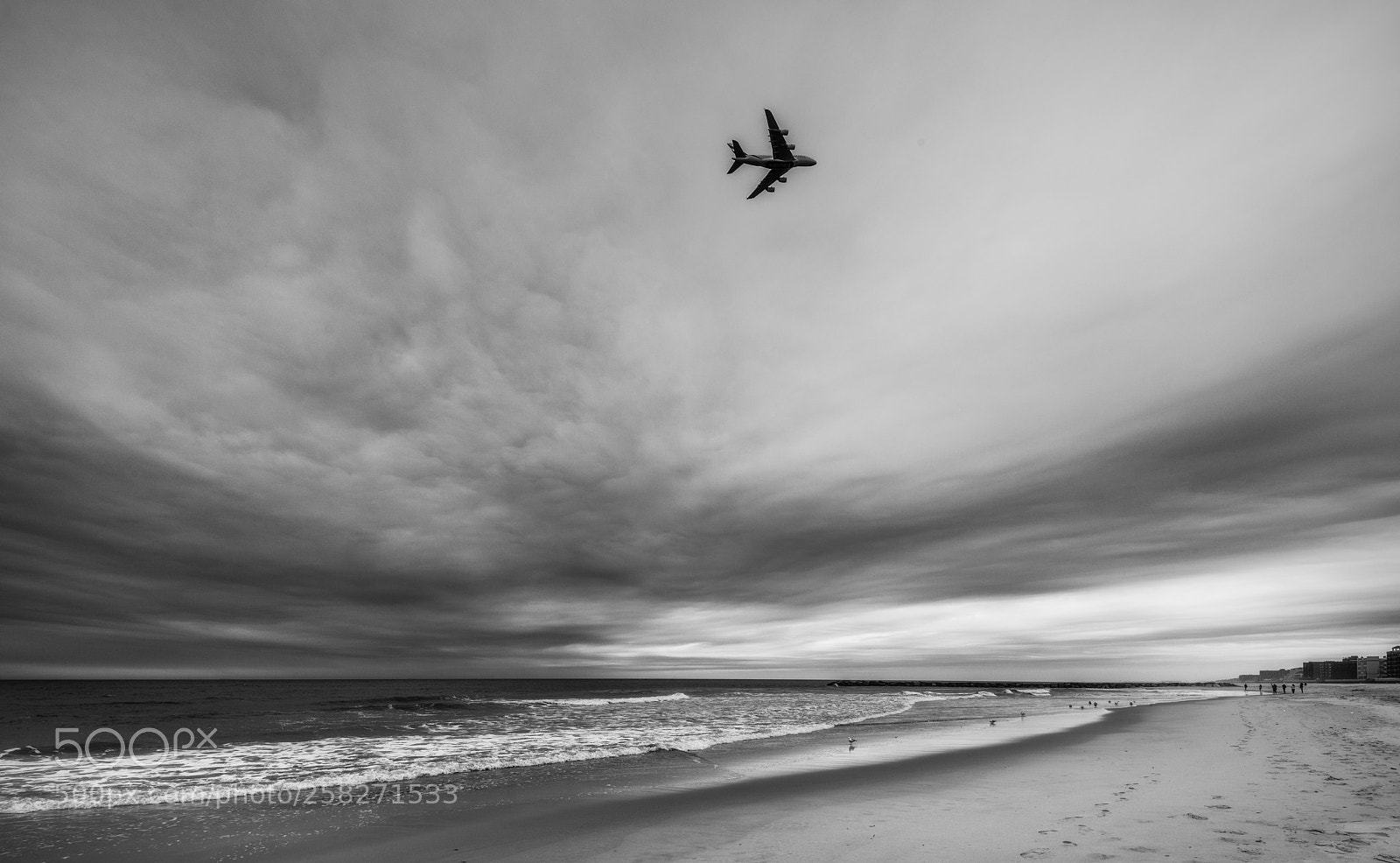 Nikon D850 sample photo. Flying over photography