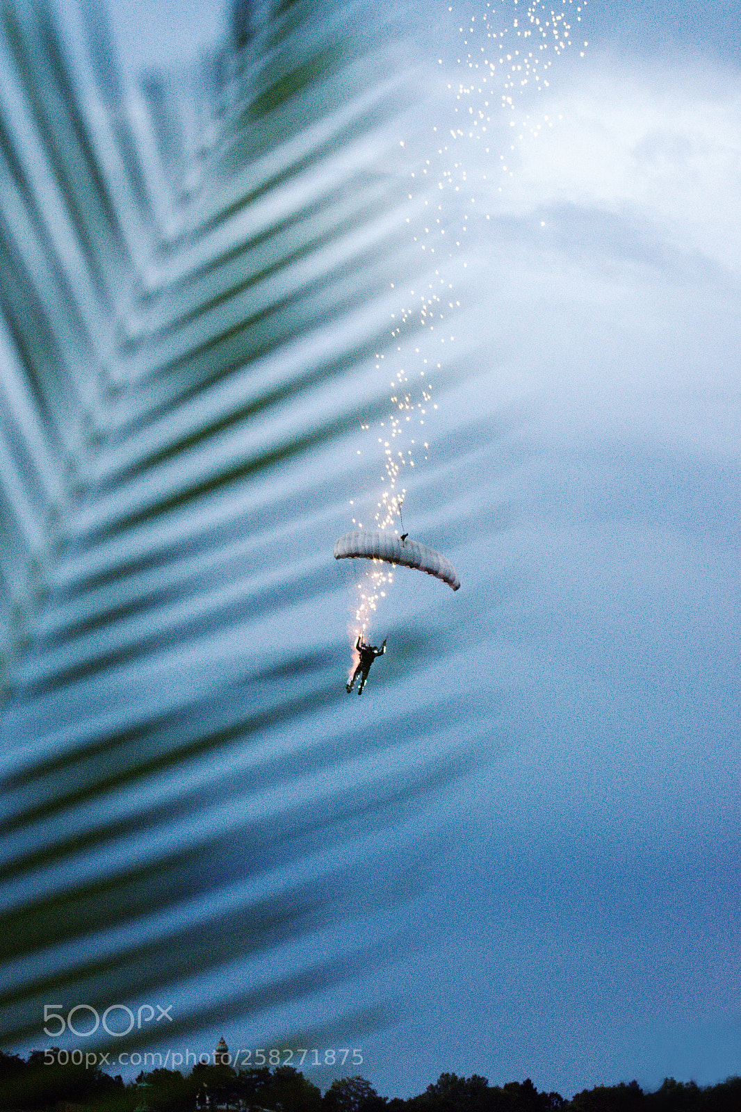 Nikon D7200 sample photo. Flying down under the photography