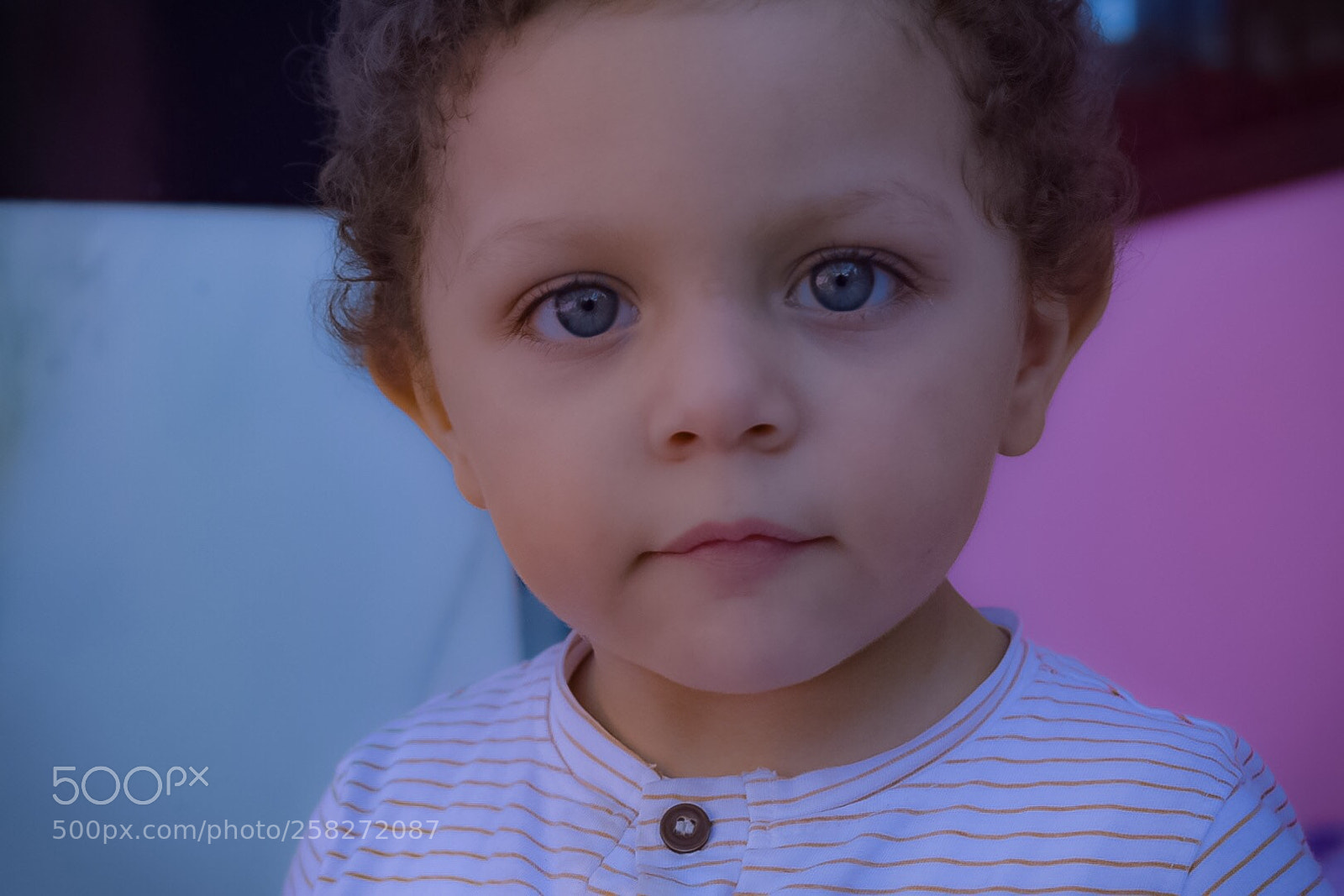 Nikon D5300 sample photo. Untitled photography