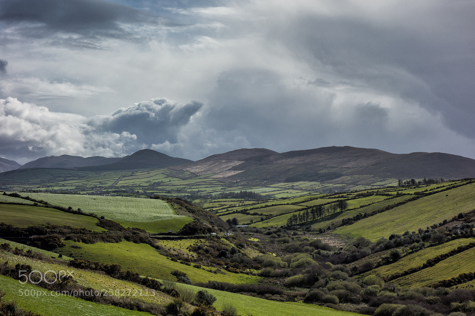 Sony Cyber-shot DSC-RX100 sample photo. Dingle peninsula photography