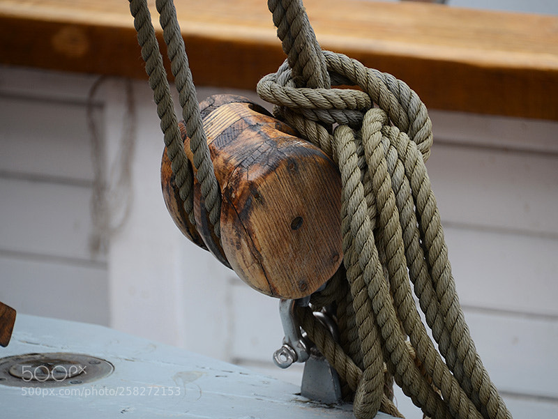 Nikon D7000 sample photo. Block & tackle at rest... photography