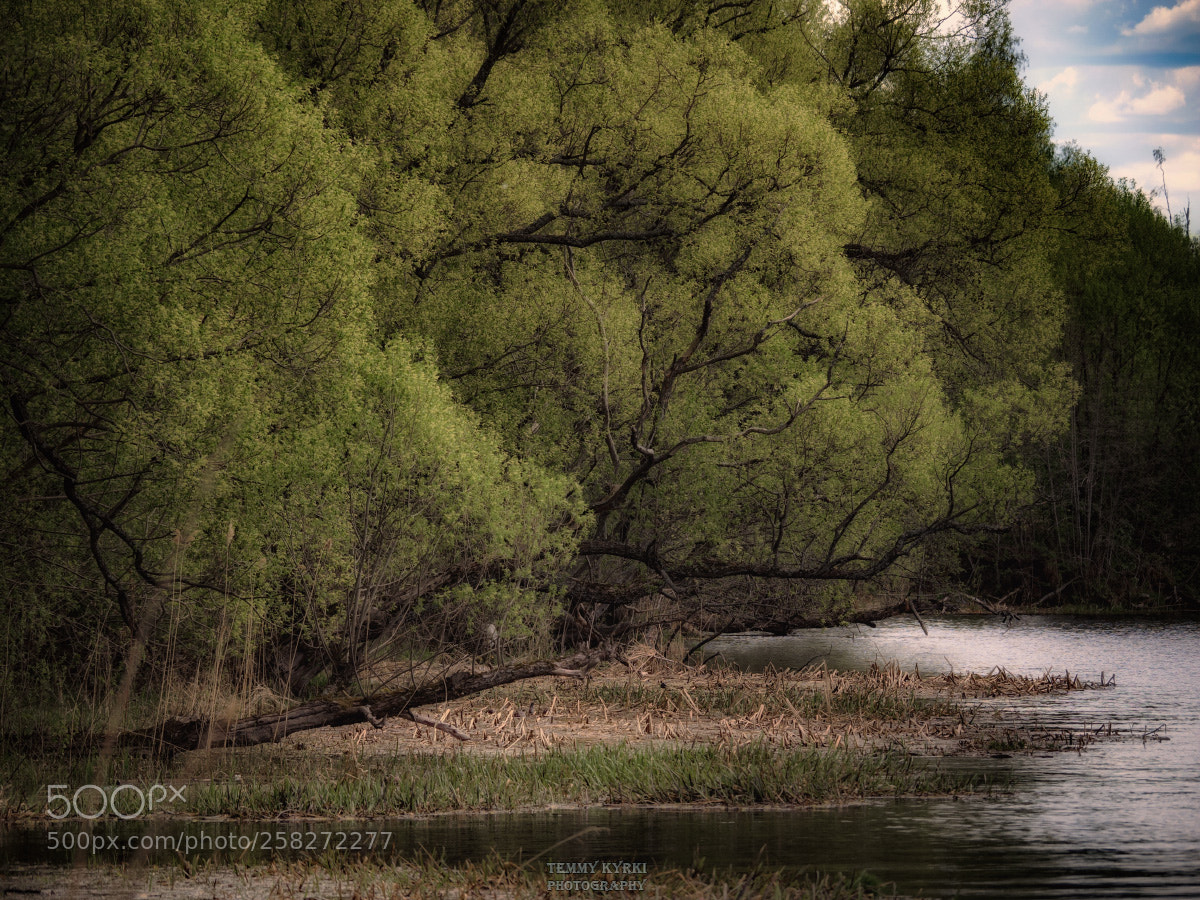 Olympus OM-D E-M1 sample photo. Landscape photography