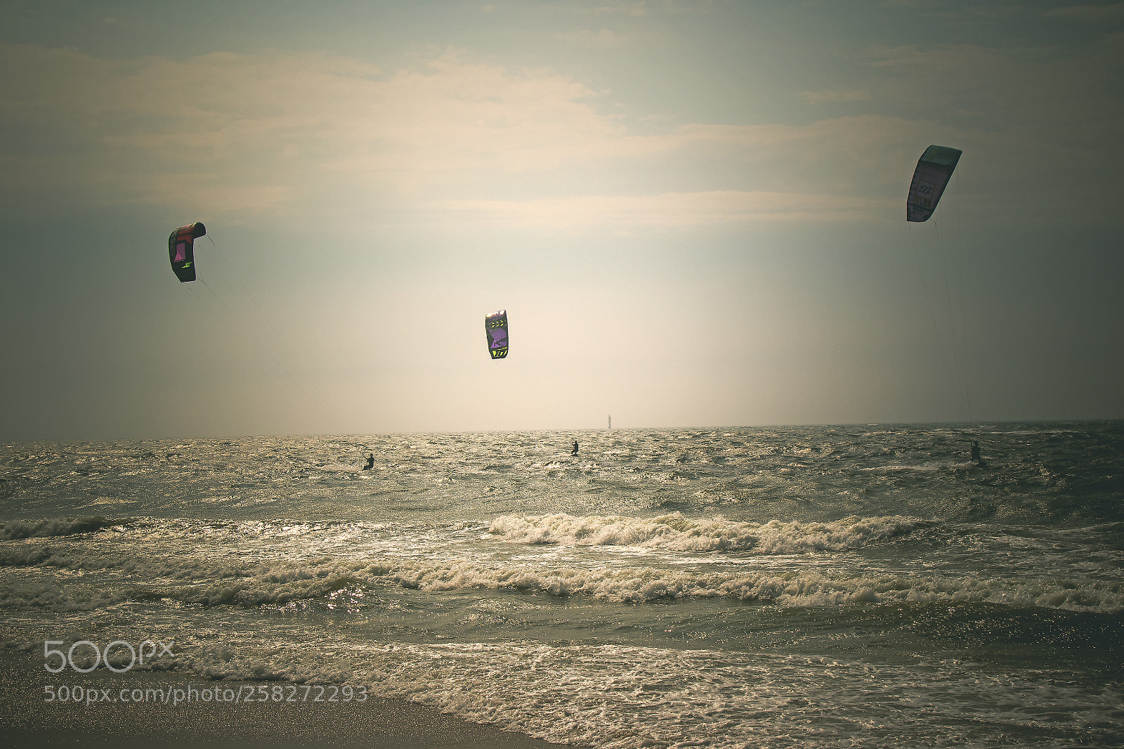 Canon EOS 7D Mark II sample photo. Zusammen im wind photography