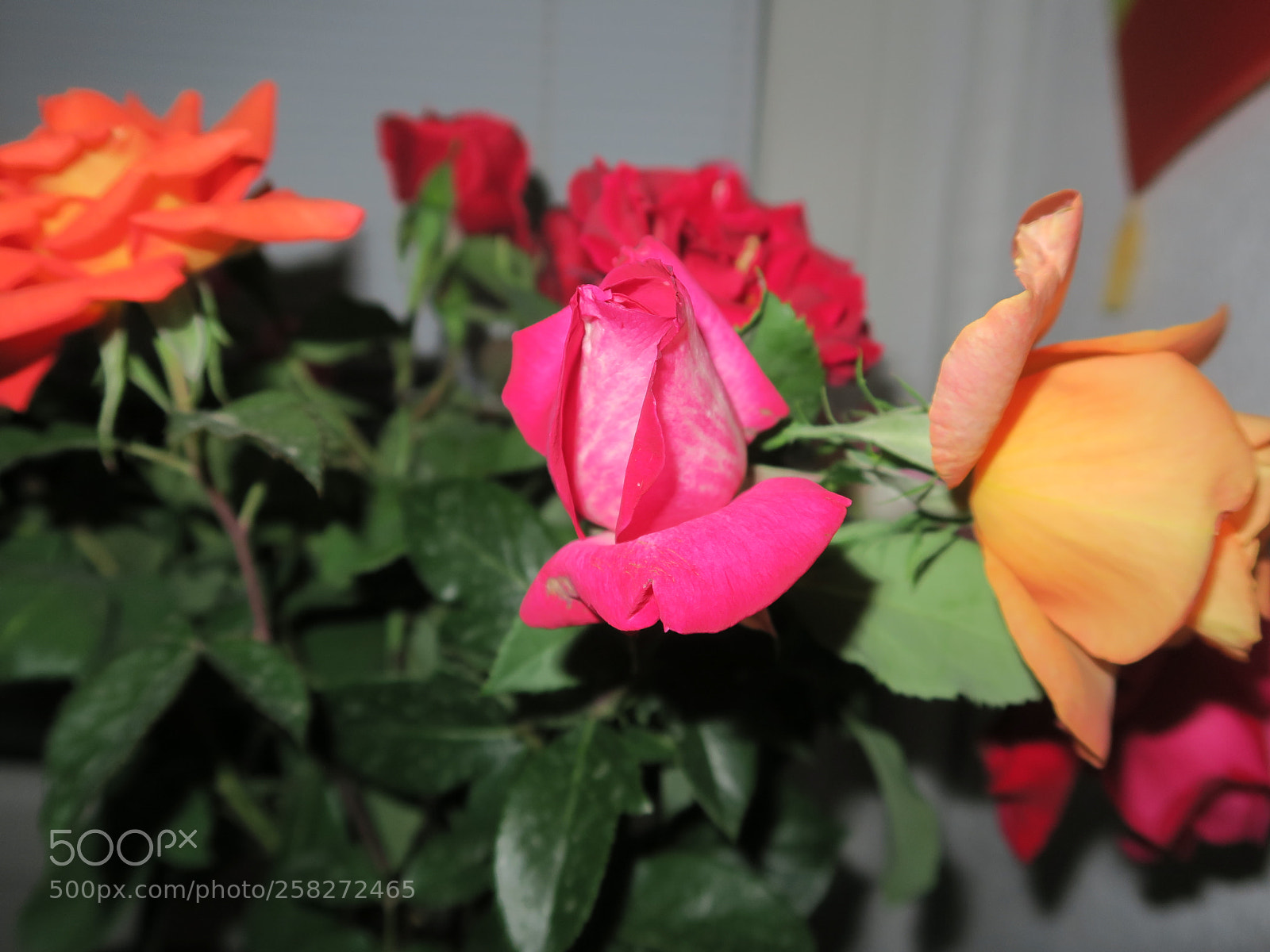 Canon PowerShot G7 X sample photo. Img photography