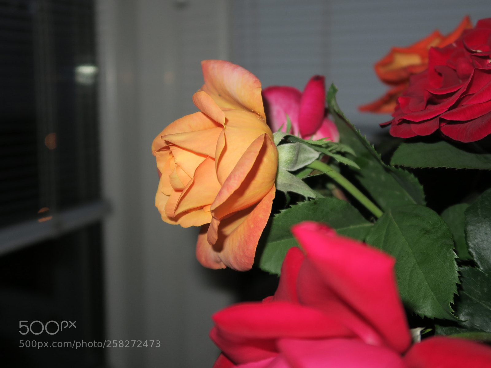 Canon PowerShot G7 X sample photo. Img photography