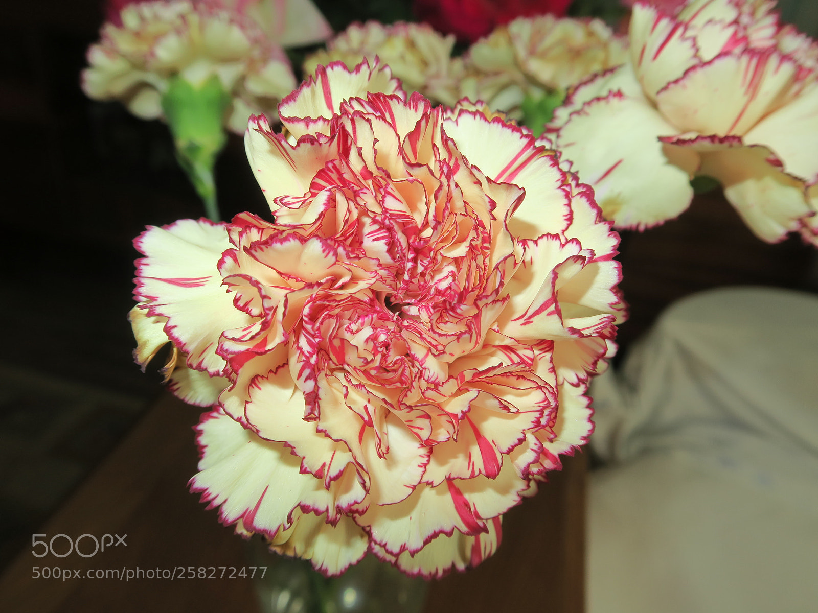 Canon PowerShot G7 X sample photo. Img photography
