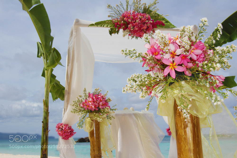 Canon EOS 7D sample photo. Wedding arch and set photography