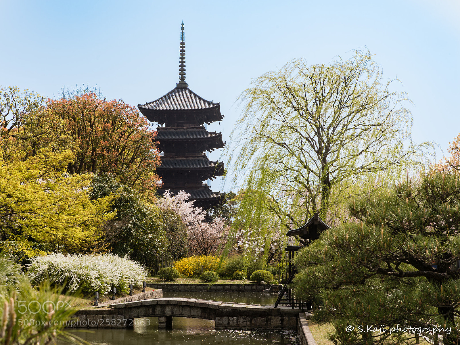 Nikon Df sample photo. Toji photography
