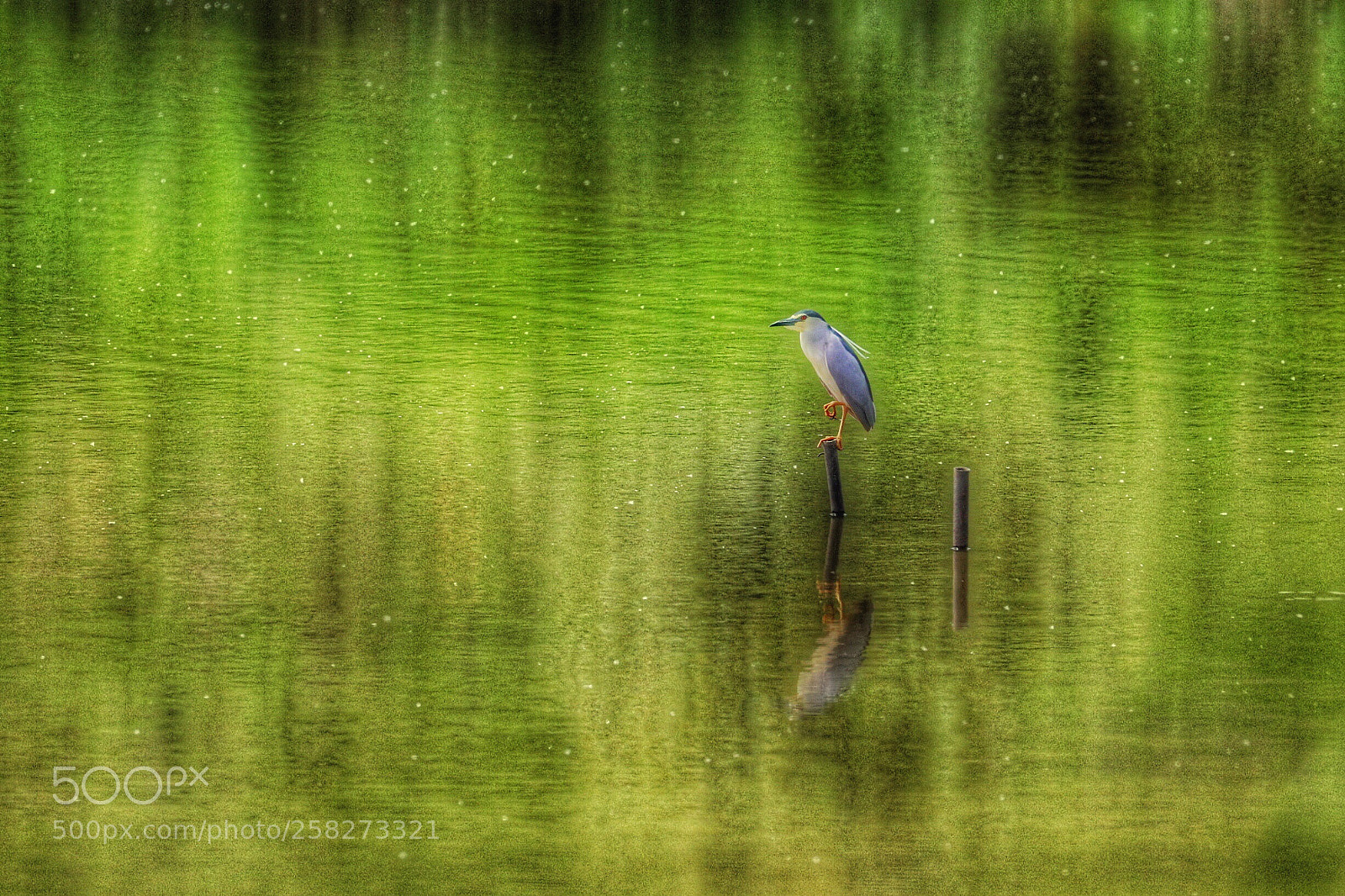 Canon EOS 5D Mark IV sample photo. Untitled photography