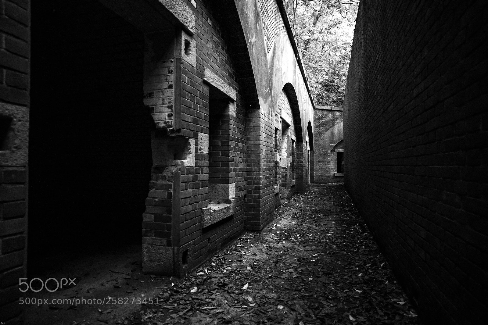 Canon EOS-1D X sample photo. Walk through the remains photography