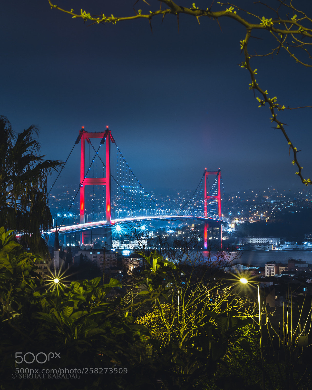 Canon EOS 6D sample photo. Midnight blues/ instagram: serhatkaradagproduction photography