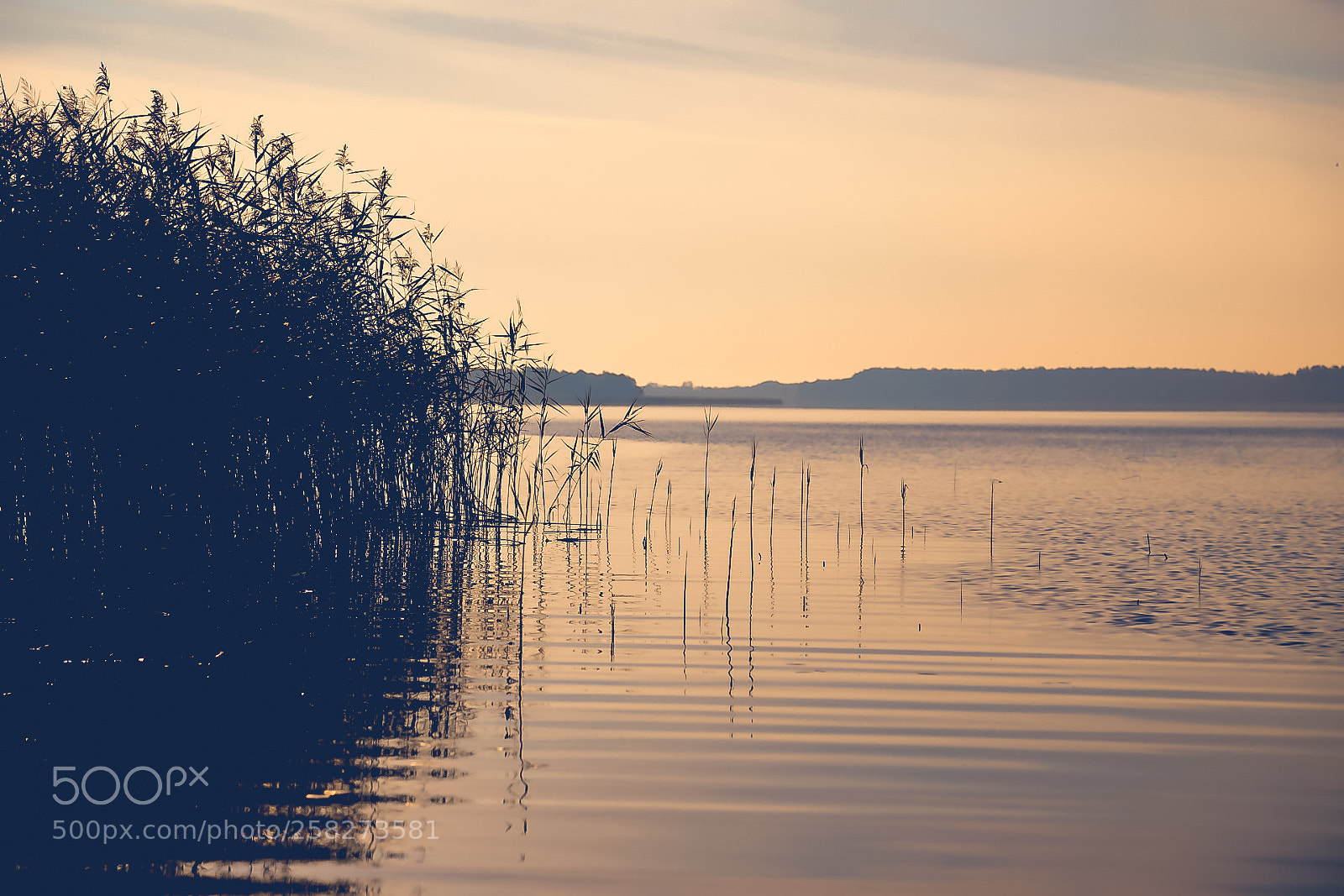 Canon EOS 6D sample photo. Poland photography