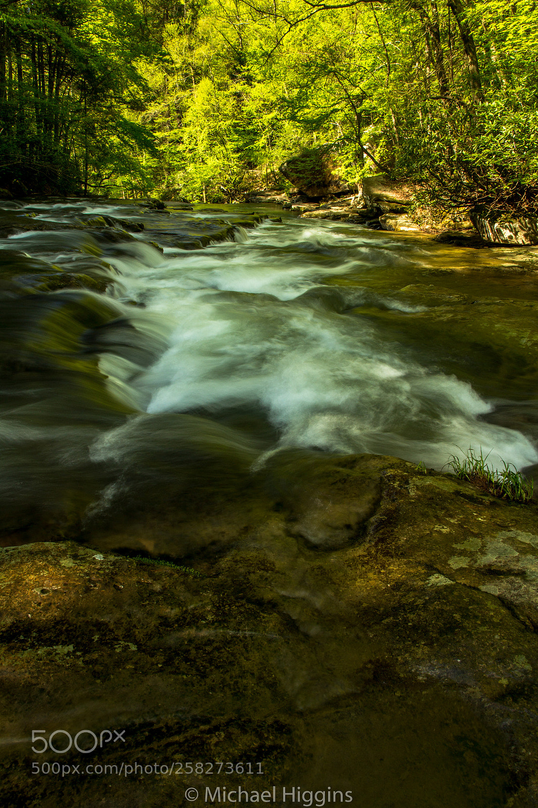 Canon EOS 1200D (EOS Rebel T5 / EOS Kiss X70 / EOS Hi) sample photo. Mill creek - ansted photography