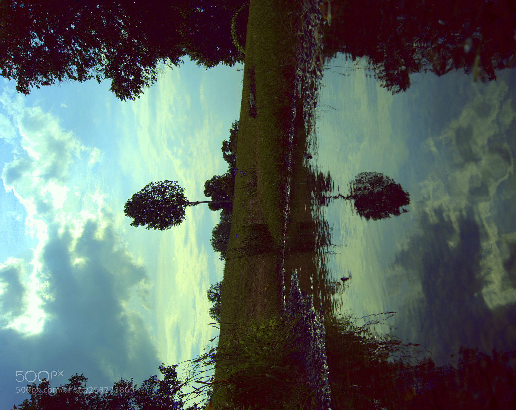Sony SLT-A68 sample photo. Reflection photography