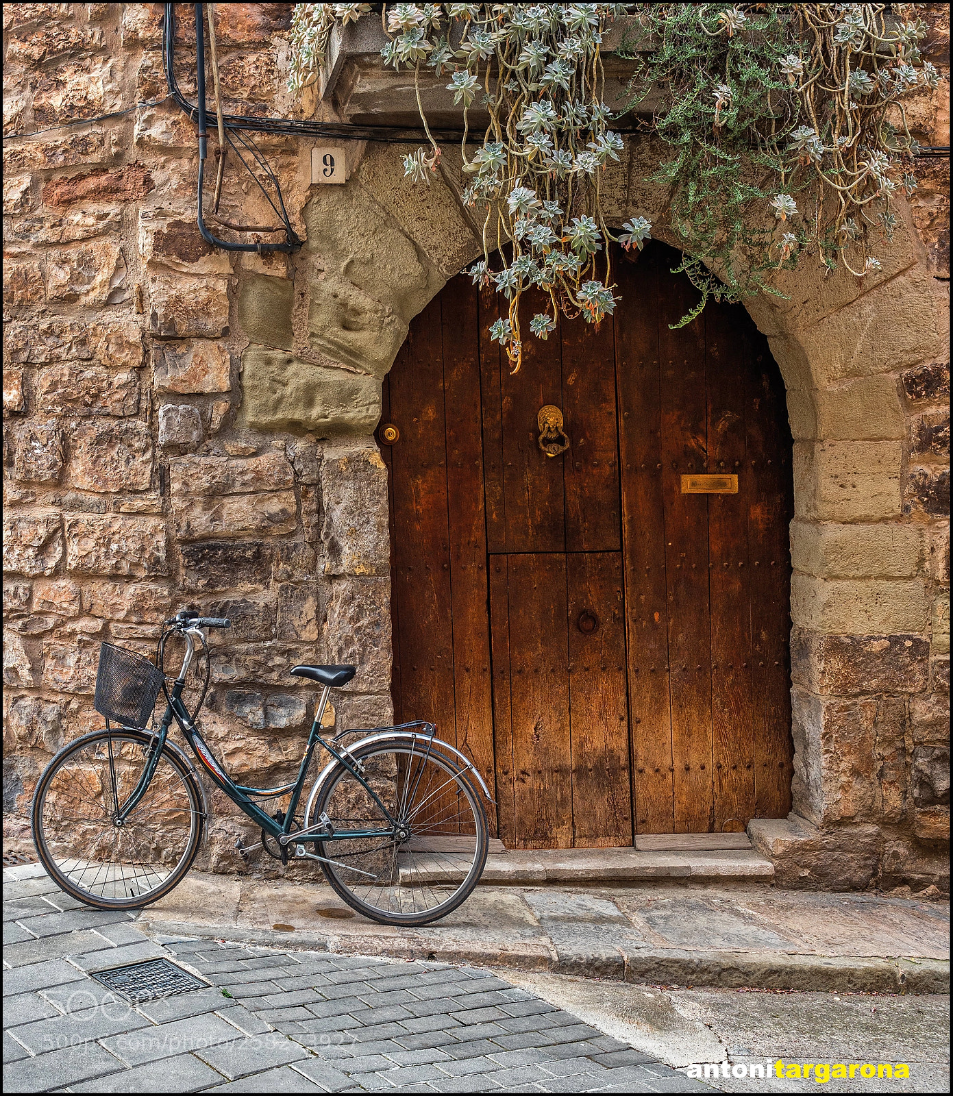 Olympus OM-D E-M1 Mark II sample photo. La bicicleta photography