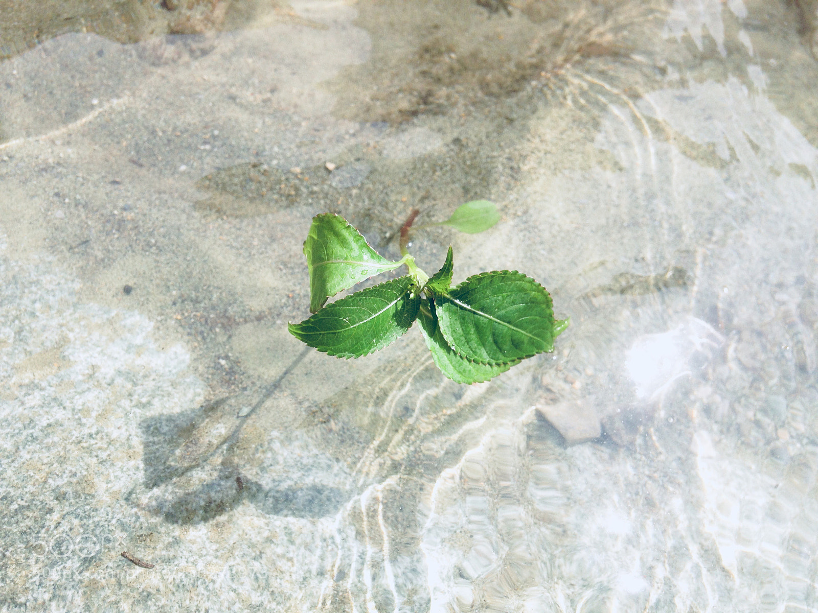 Apple iPhone 5 sample photo. Untitled photography