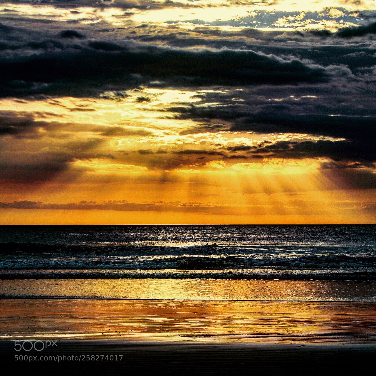 Canon EOS 80D sample photo. Sunbeams in jaco photography