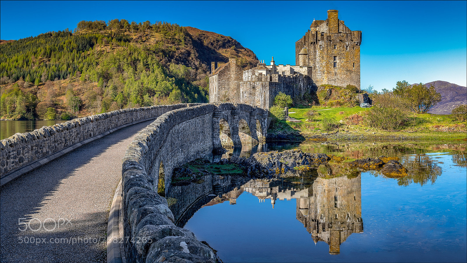 Nikon D850 sample photo. Eilean donan castle (reflection) photography