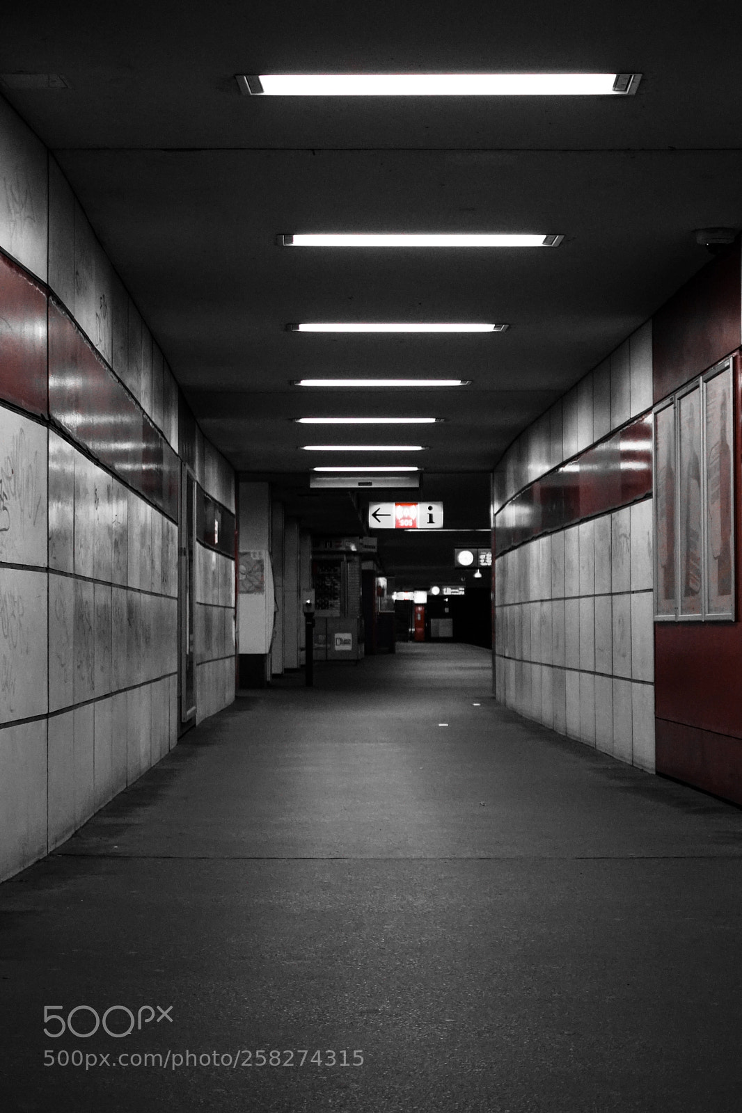 Sony SLT-A68 sample photo. U7 photography