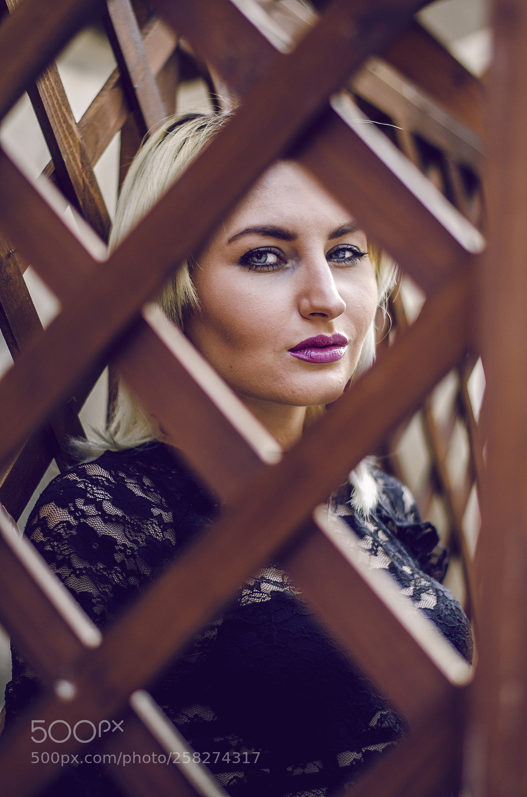 Nikon D7000 sample photo. Eyesight photography
