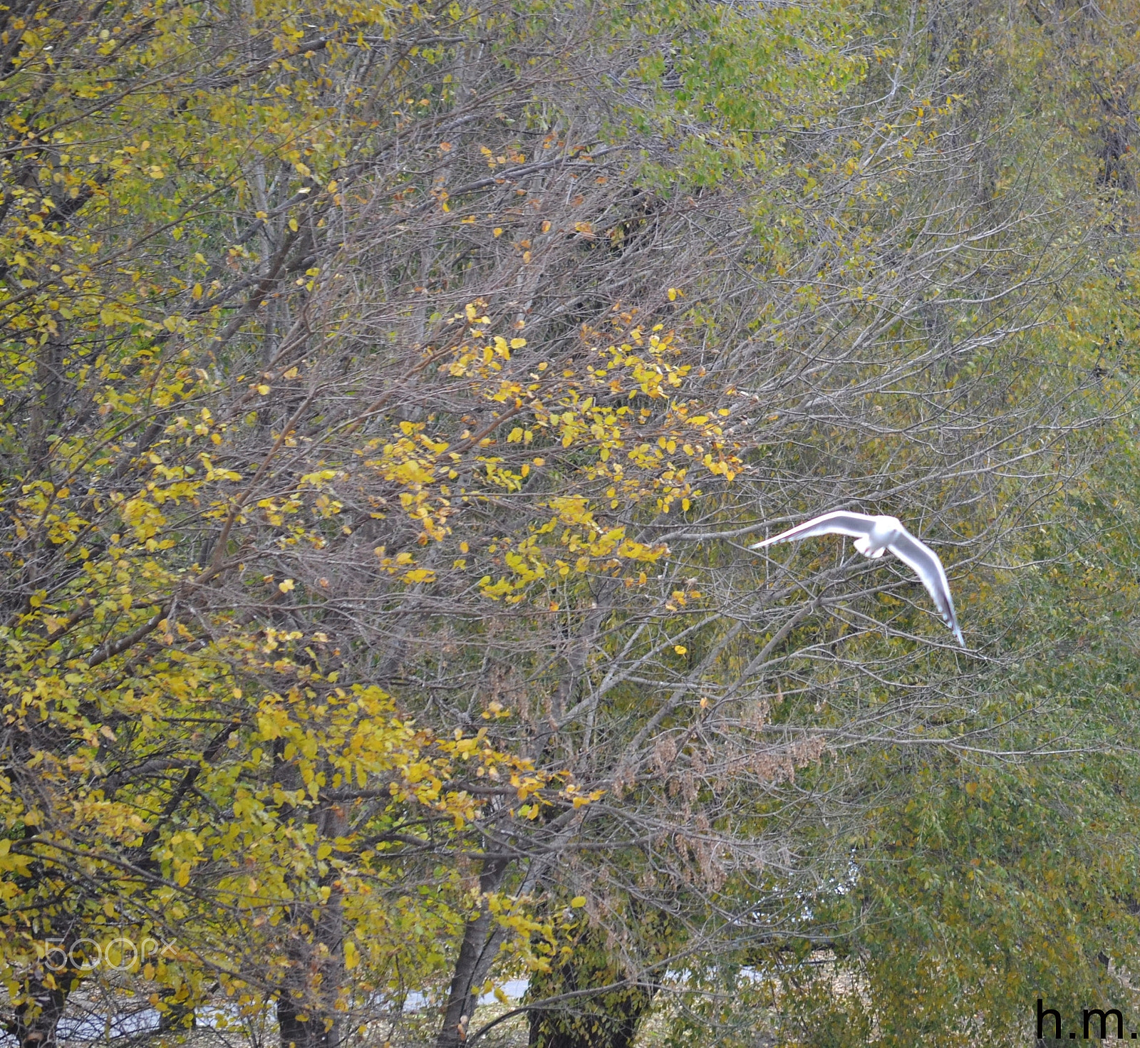 Nikon D3100 sample photo. Planeando photography