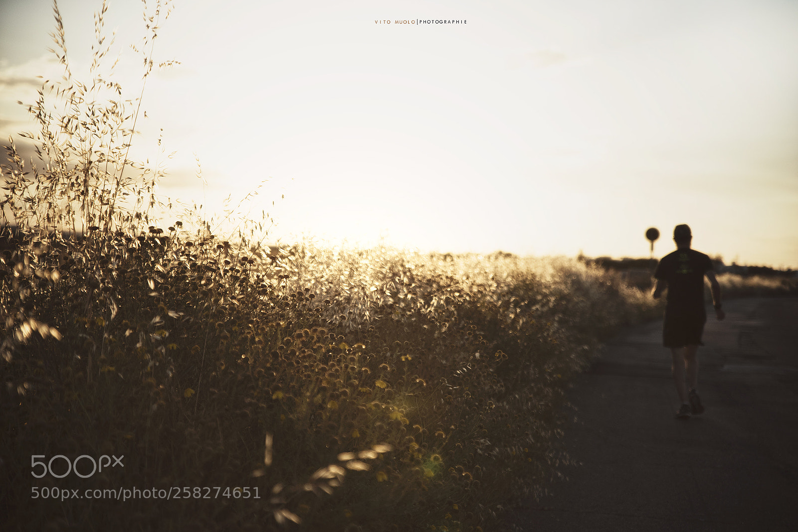Nikon D750 sample photo. Running in the sun photography