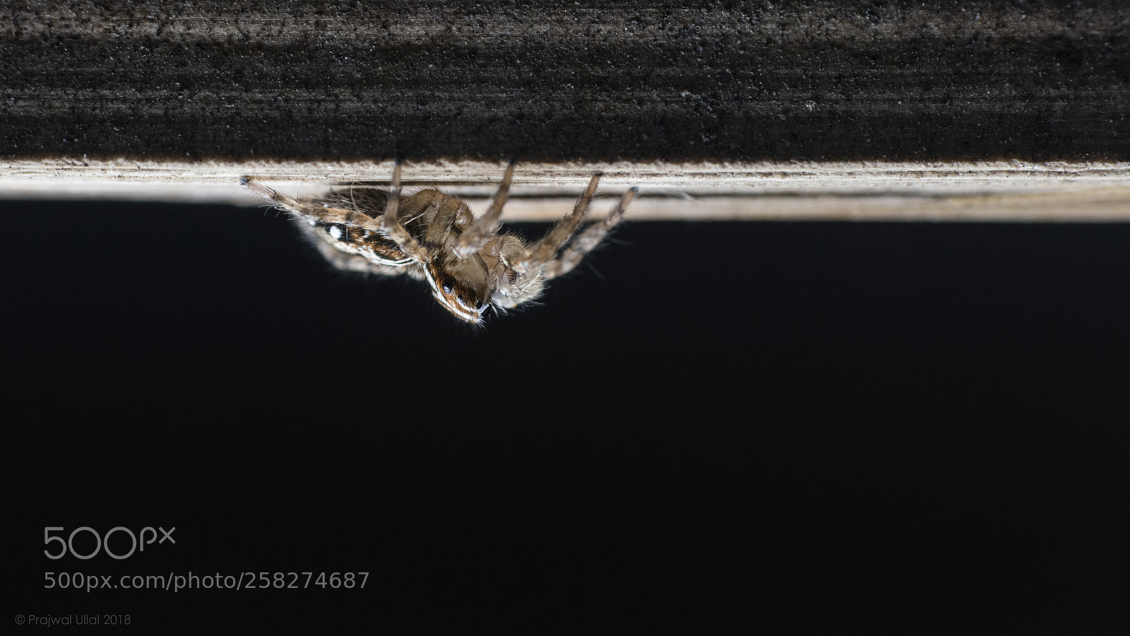 Canon EOS 80D sample photo. Gravity defying photography