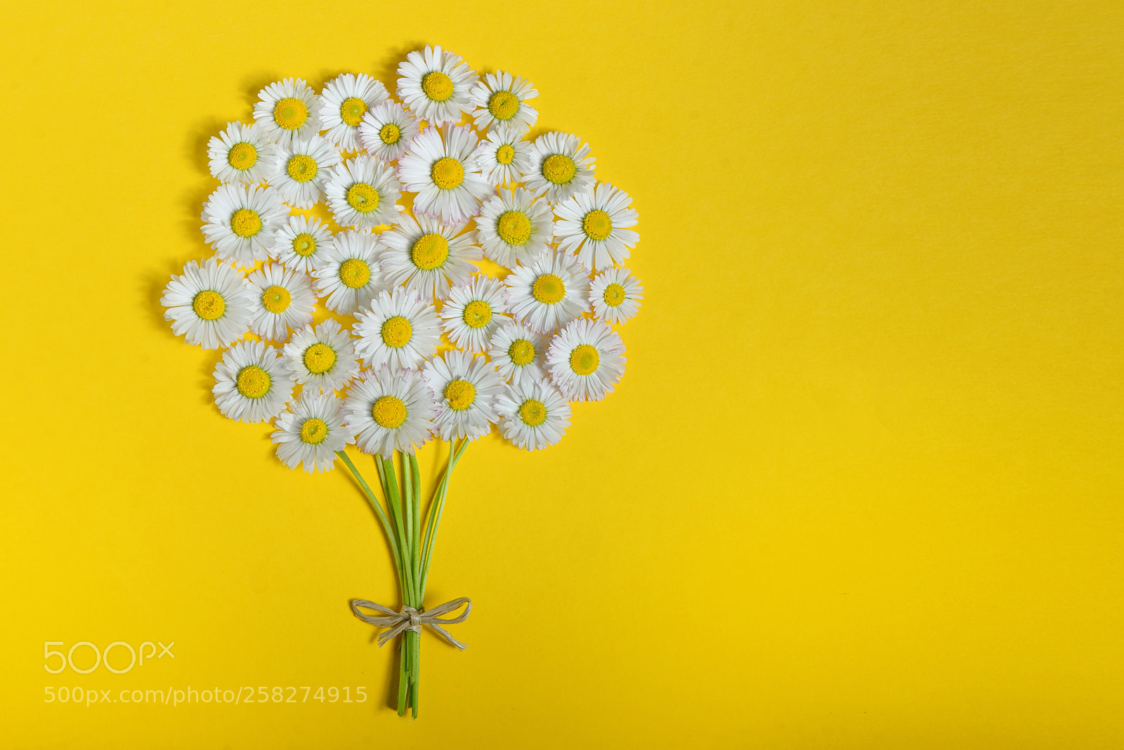 Nikon D610 sample photo. Abstract daisy flower bouquet photography