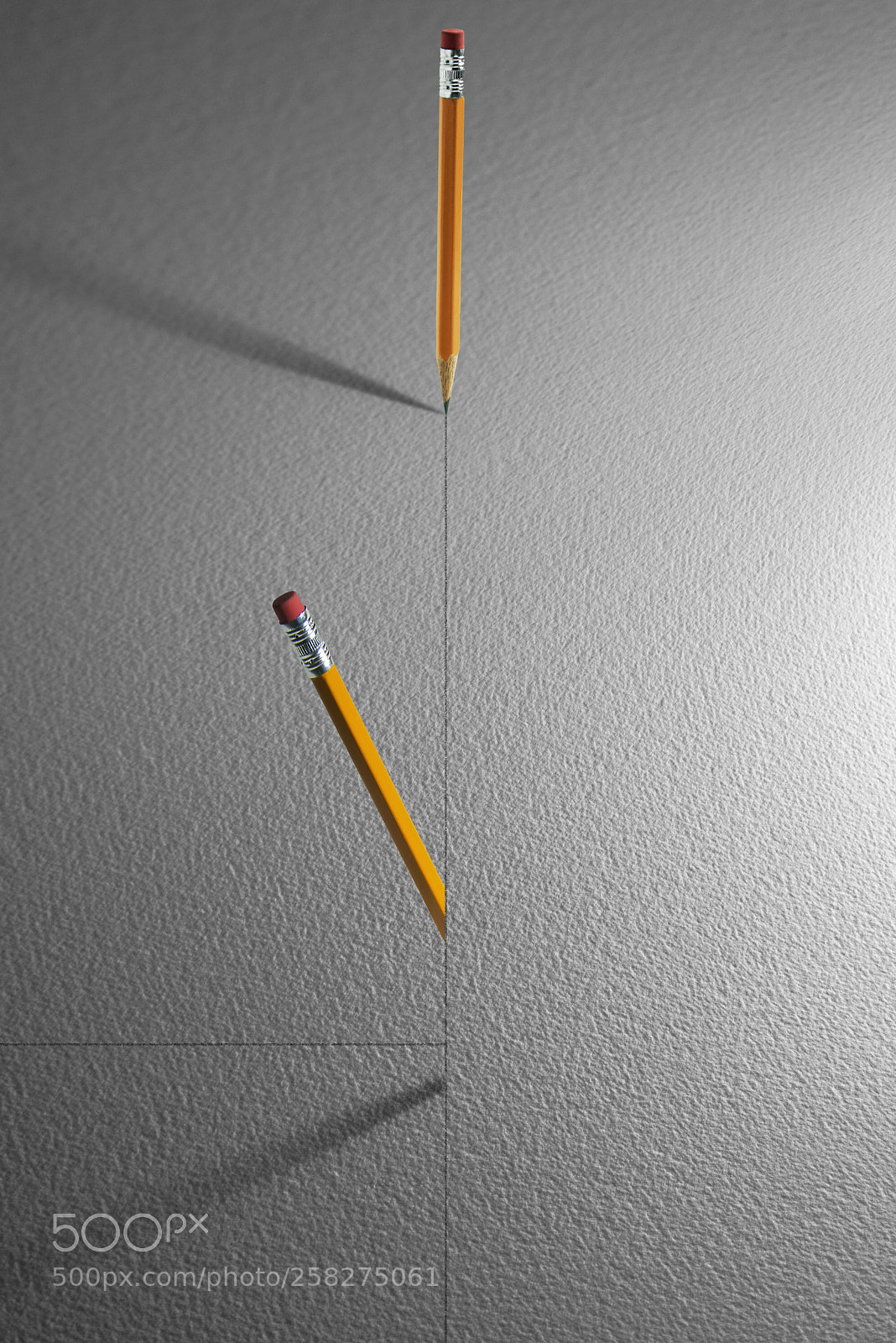 Nikon D810 sample photo. A line not to photography