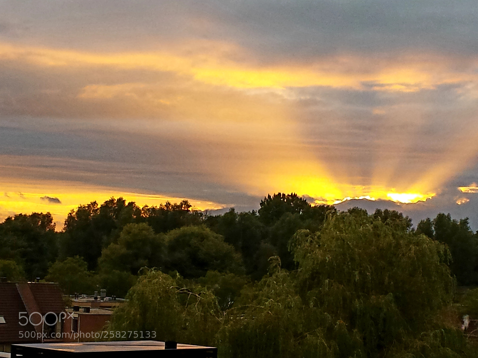 Samsung Galaxy S4 sample photo. Untitled photography