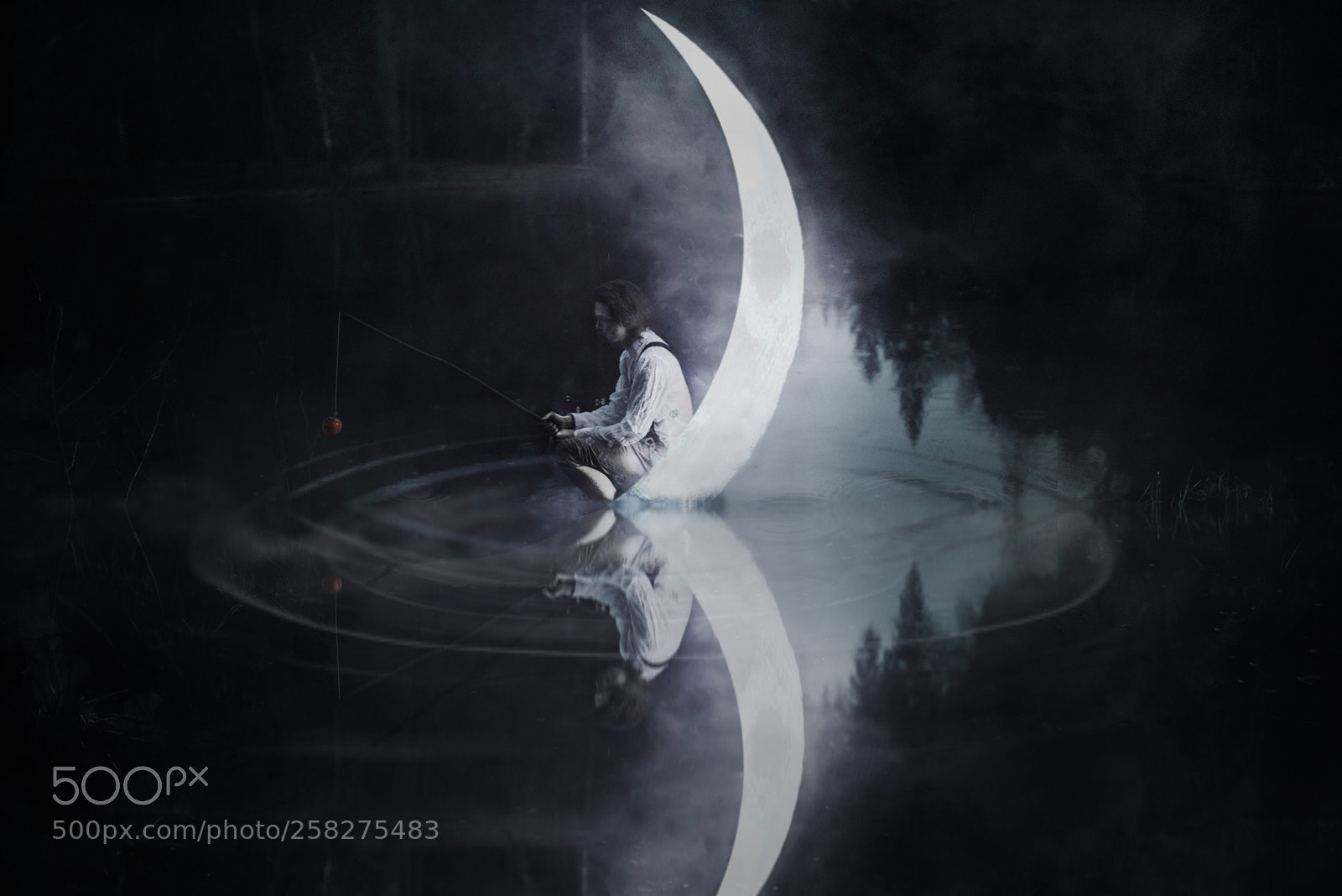 Nikon D810 sample photo. Moon photography