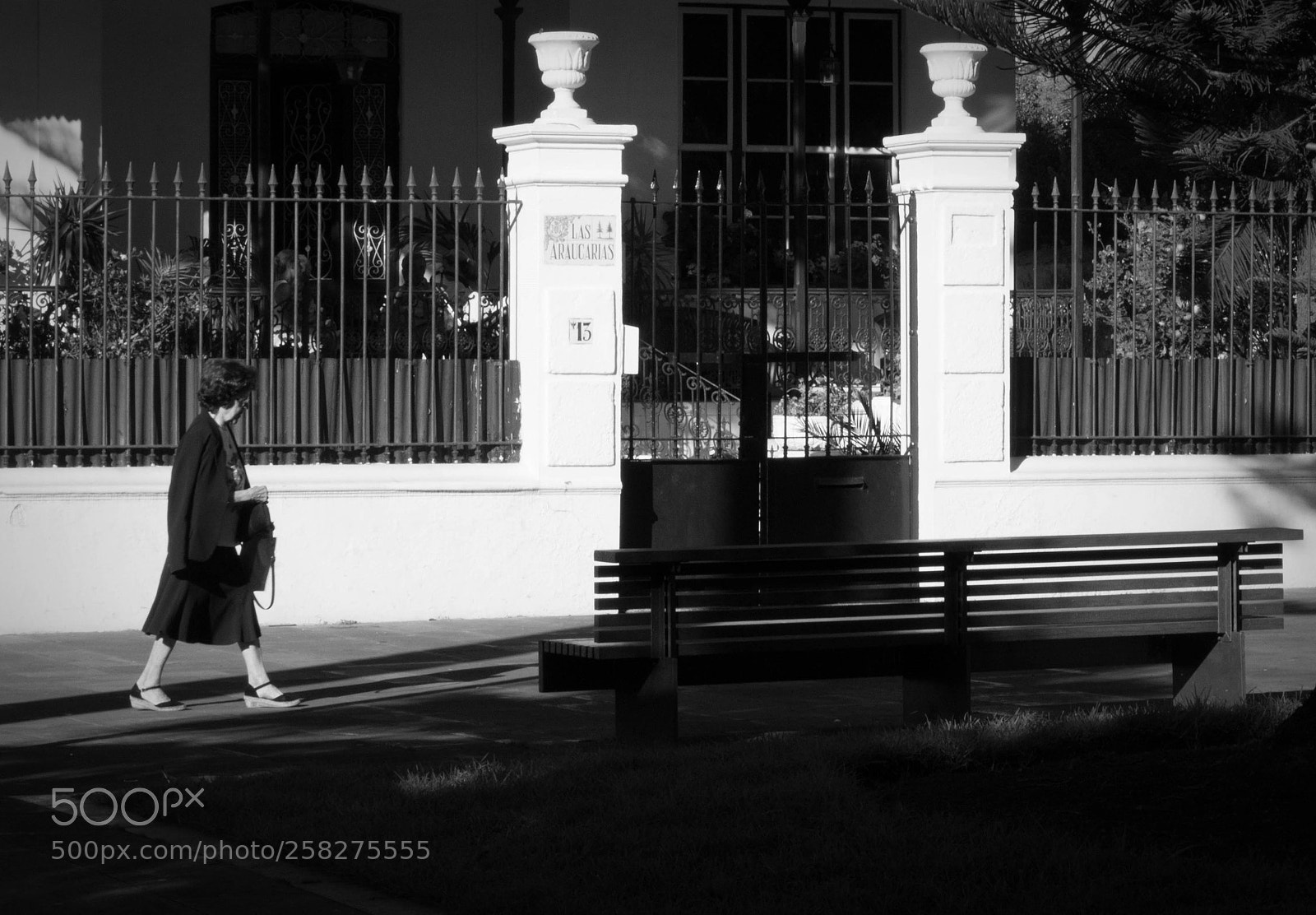 Nikon D3200 sample photo. Las aracaurias, la laguna photography