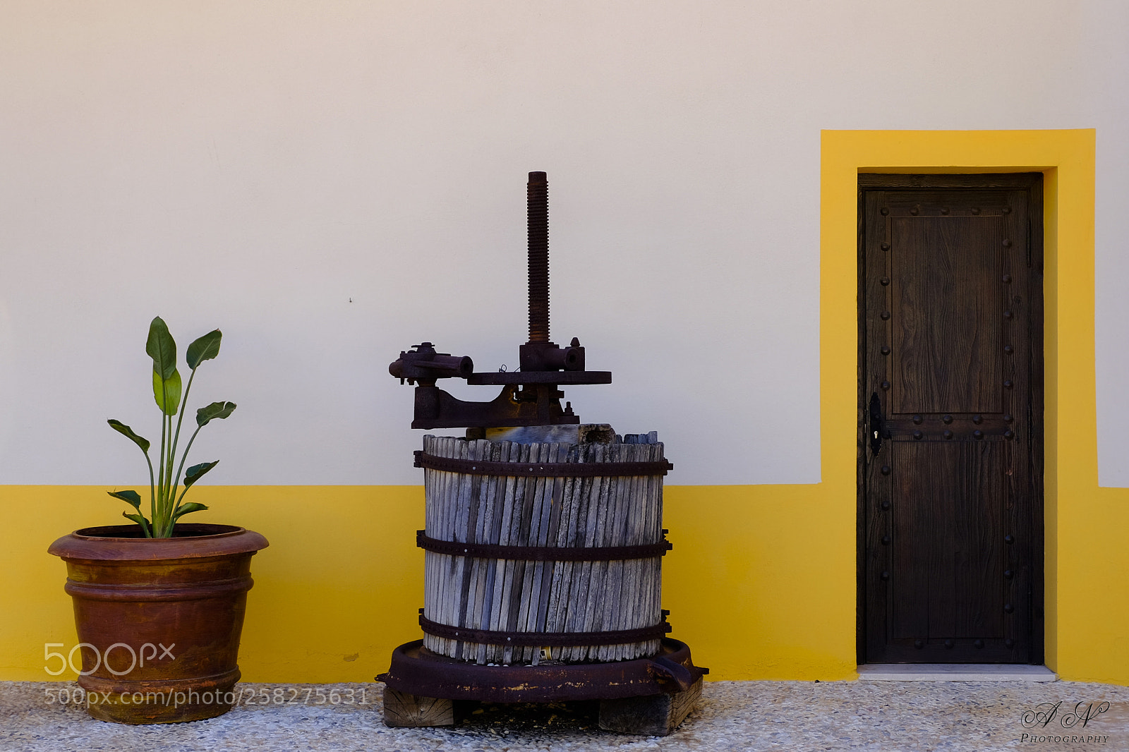 Fujifilm X-T10 sample photo. Untitled photography