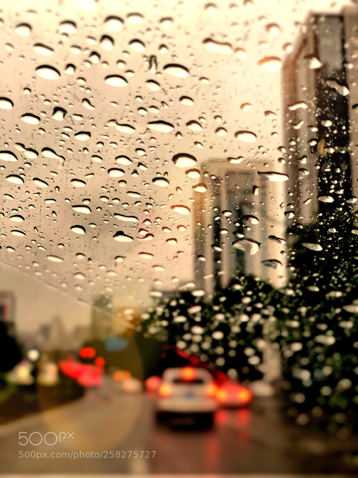Apple iPhone X sample photo. Untitled photography