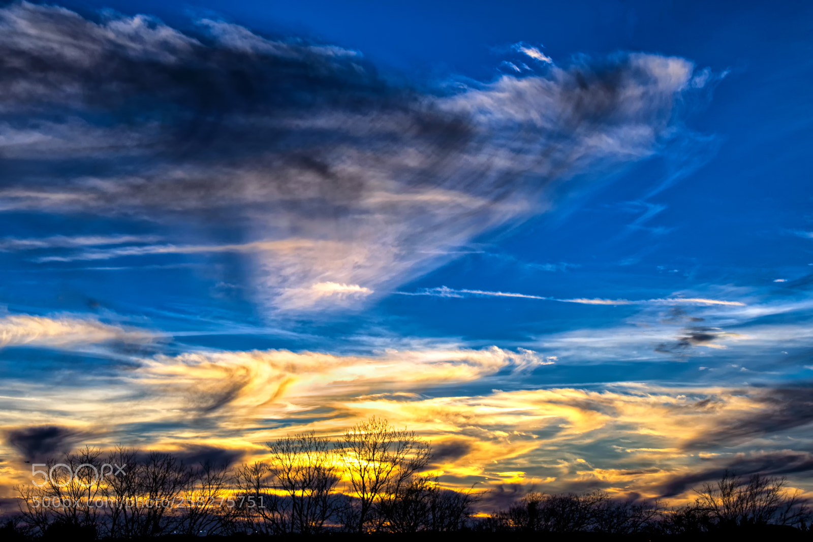 Nikon D800 sample photo. Texas sunset 1-13-13 photography