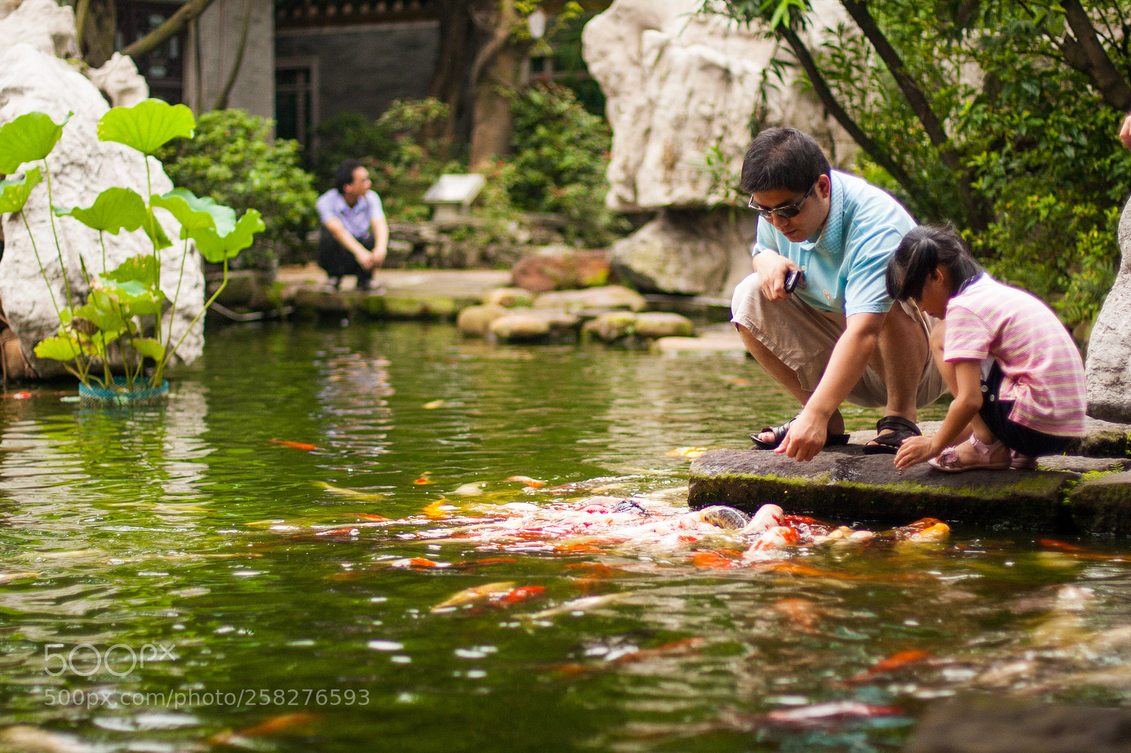 Canon EOS 40D sample photo. Koi, qing hui yuan photography