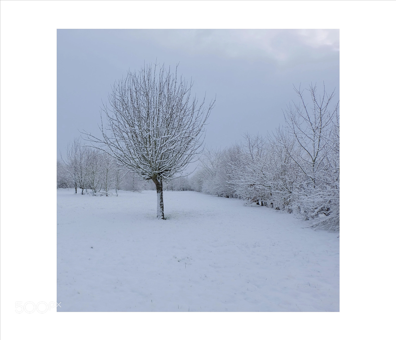 Fujifilm X-M1 sample photo. Snow  photography