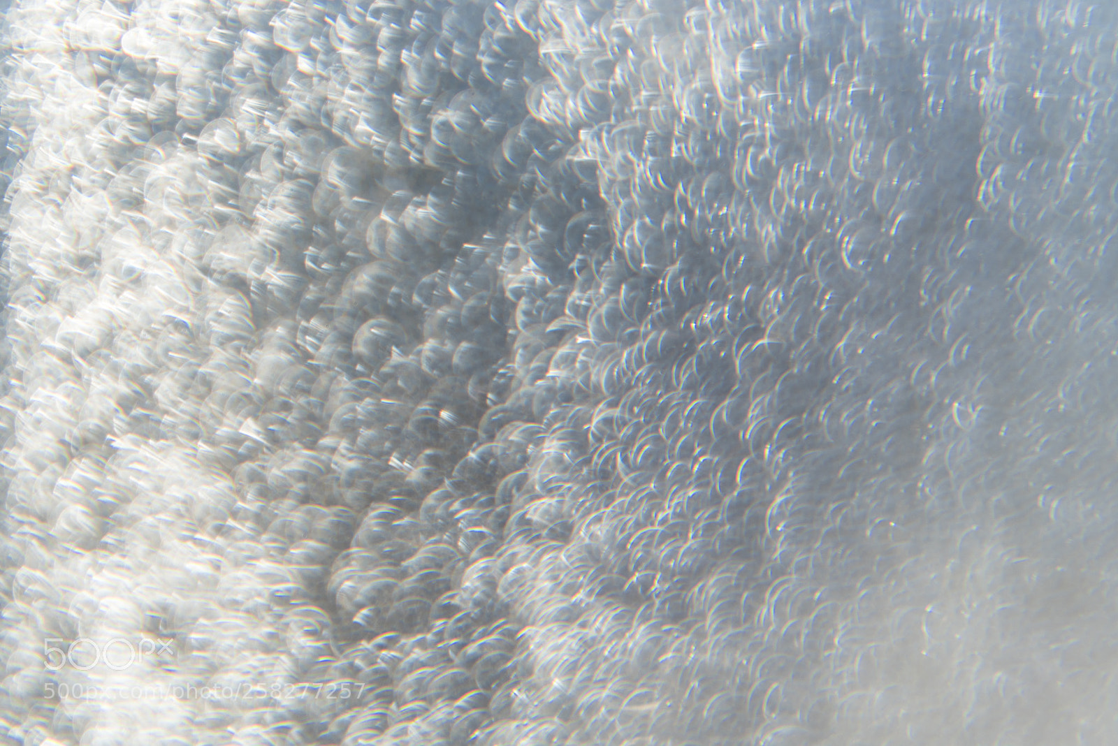 Nikon D750 sample photo. Bubbles /evde bir yerde... photography