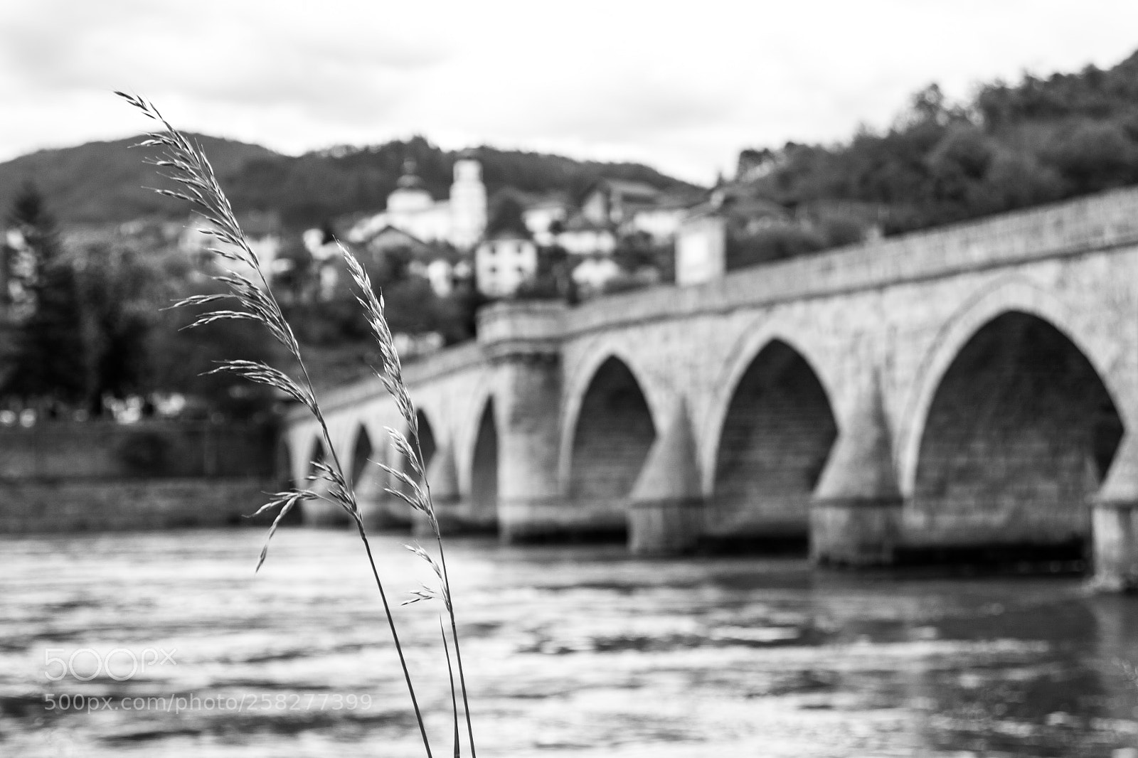 Canon EOS 50D sample photo. The bridge on the photography