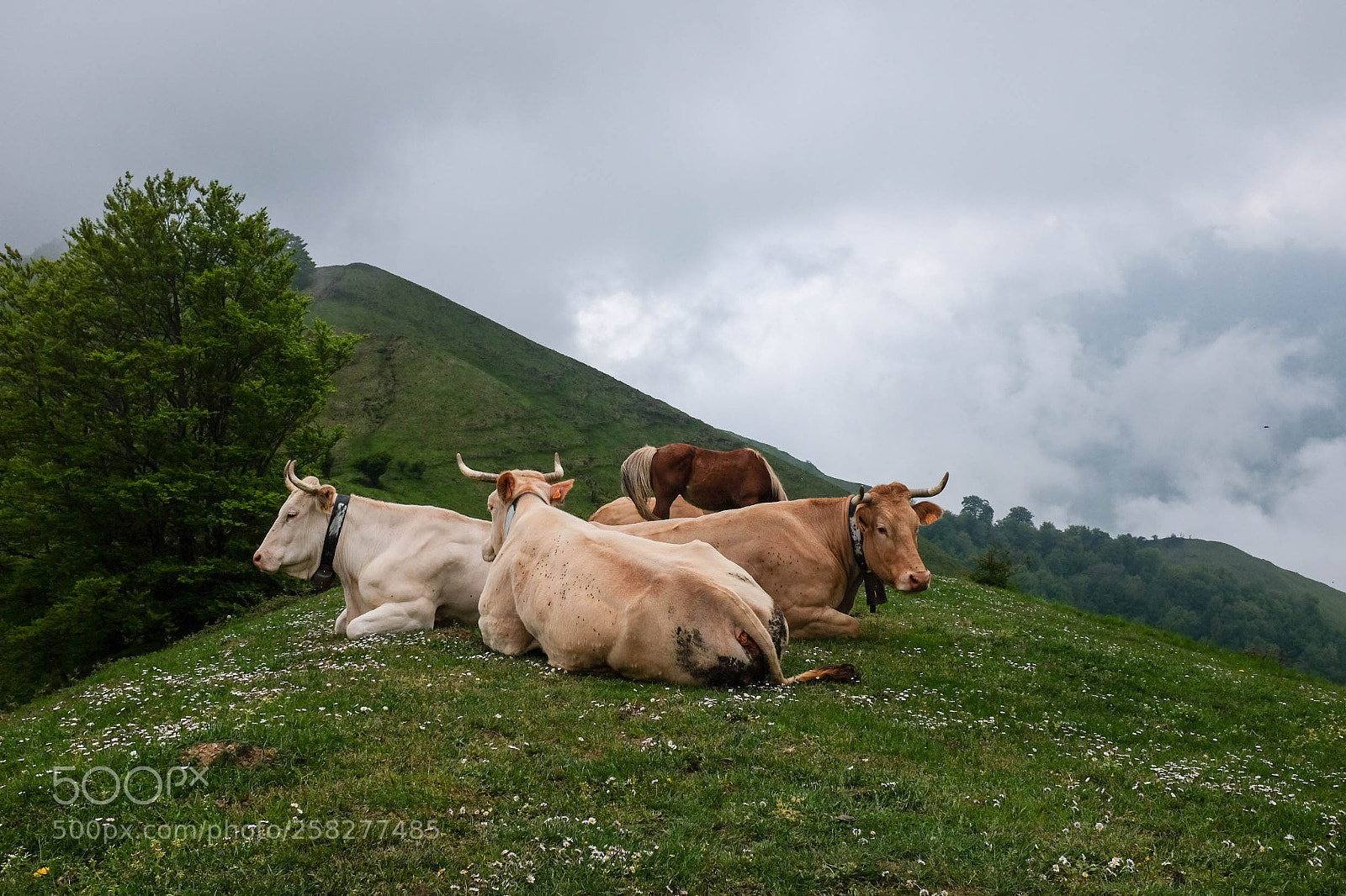 Fujifilm X100T sample photo. Grpaysbasque biarritz photography