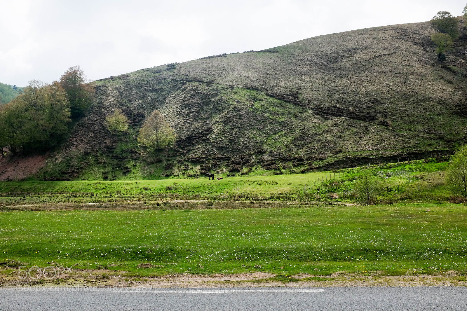 Fujifilm X100T sample photo. Grpaysbasque biarritz photography
