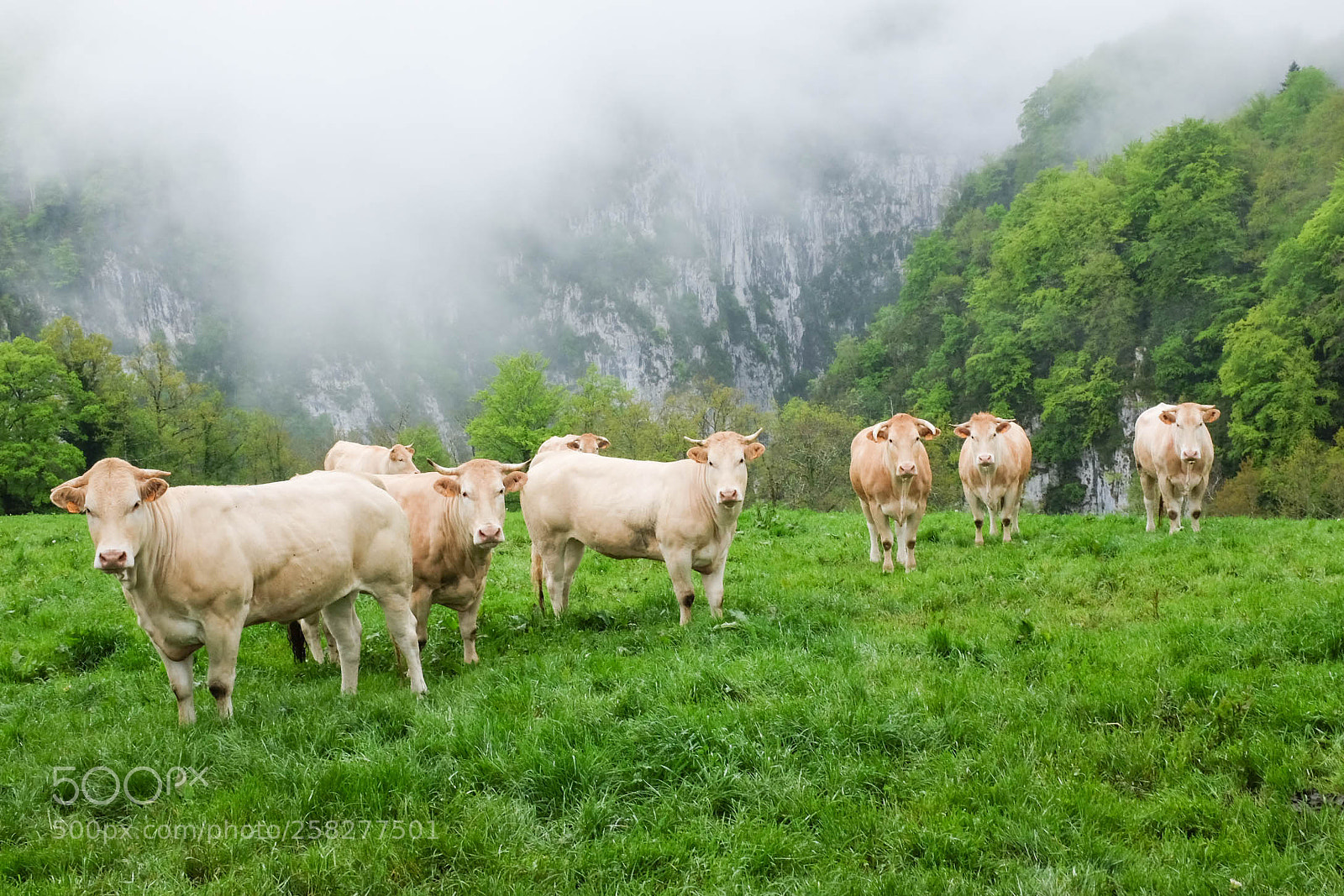 Fujifilm X100T sample photo. Grpaysbasque biarritz photography