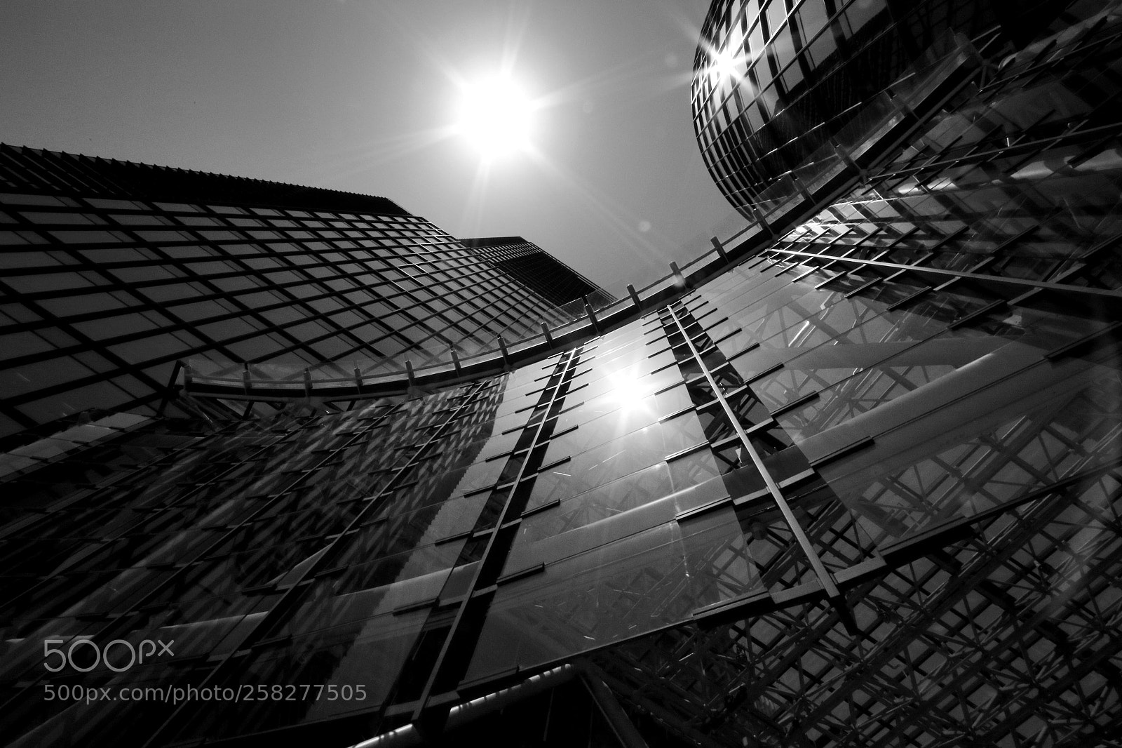 Canon EOS 7D Mark II sample photo. Tokyo japan photography